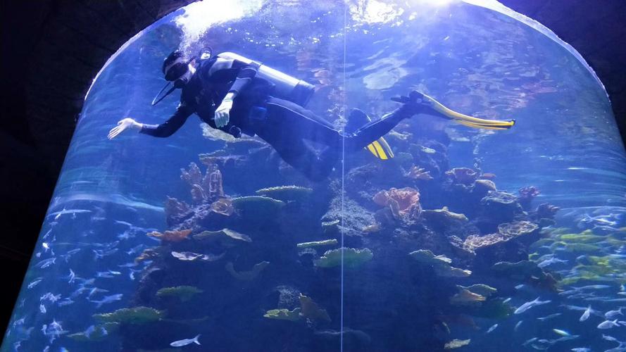 豆瓣|皮肤可安装或可穿戴电子设备,越来越受到消费者的欢迎