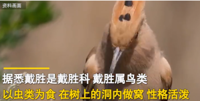 广东惠州,一男子晚饭后出去散步,等他回到家,就发现不对劲