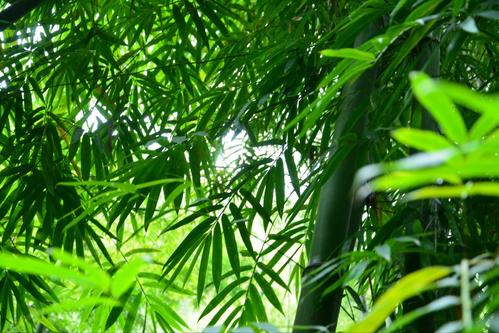 洱海|国内5个最受欢迎的网红景点，去过的都说不后悔，你去过几个？