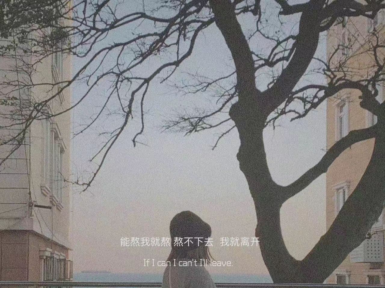 |小众高级的文案