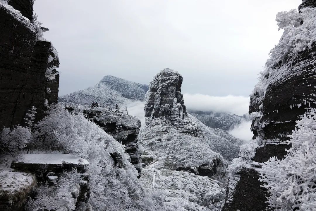 梵净山|雪中梵净 · 冰雪奇缘