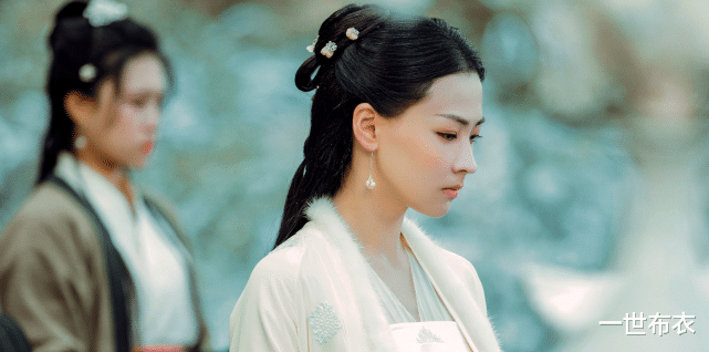 徐凤年|《雪中悍刀行》里徐凤年的老婆明确的有八个，你觉得哪个最好看？