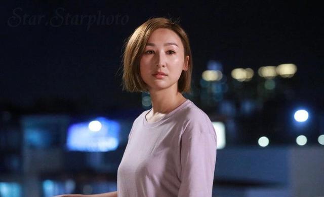 陈展鹏|张振朗、陈展鹏情敌大作战，TVB爱情轻喜剧明晚开播