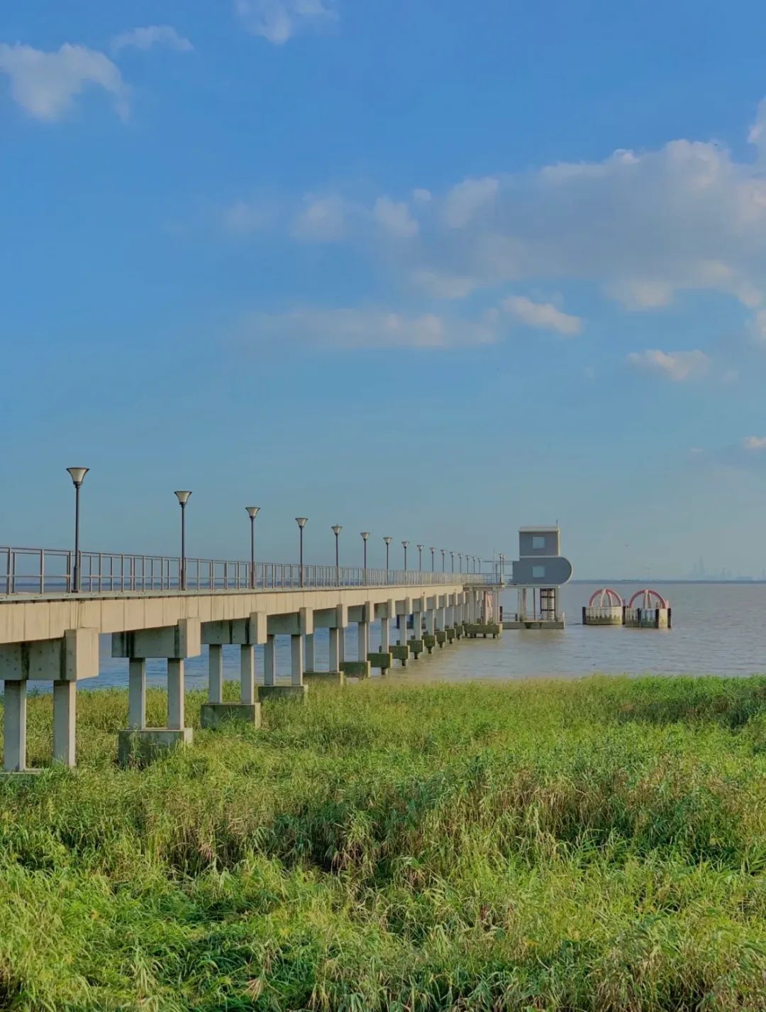 上海市|绝美上海后花园!景美人少性价比还高,大人小孩都玩得不想走