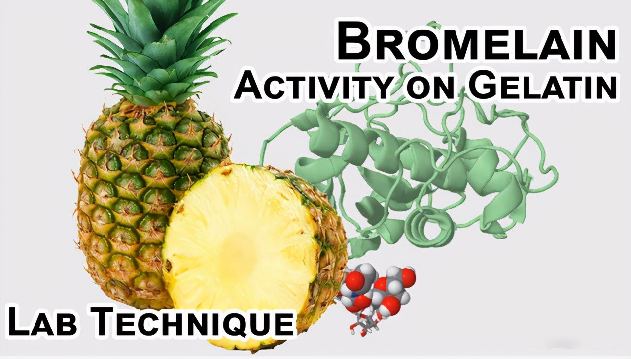 卡戴珊|名媛赴宴前为何要喝菠萝汁？你和名媛之间，就差一杯“进化水”