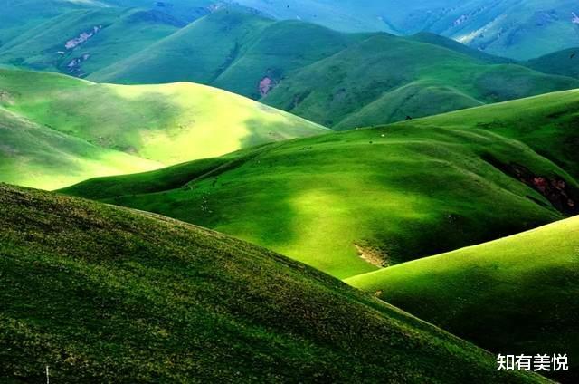 乌镇|国内10个精致的旅行地,真正的世外桃源,每一个都美得那么低调!