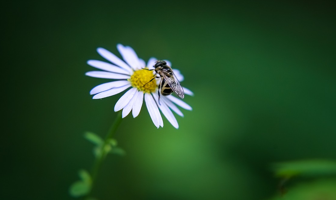 掌握了多种构图法则,为什么拍的照片依然不好看?牢记这6个要点
