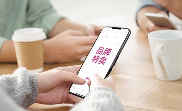 社交网络|好体力,高敏感,善谈判,唯品会品牌特卖背后这个岗位不简单