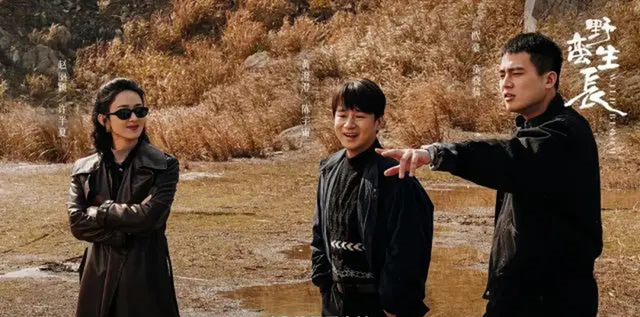 许半夏|《风吹半夏》：身边围着仨男人，许半夏为何只爱赵垒？