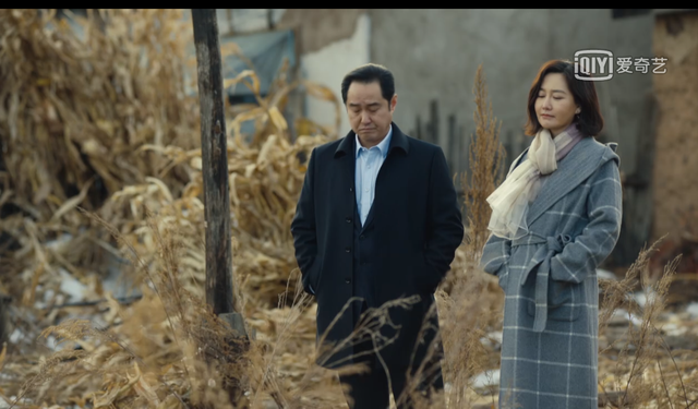 冬梅|《人世间》丈夫出轨董卫红不管：充满算计的婚姻，不堪只能忍着