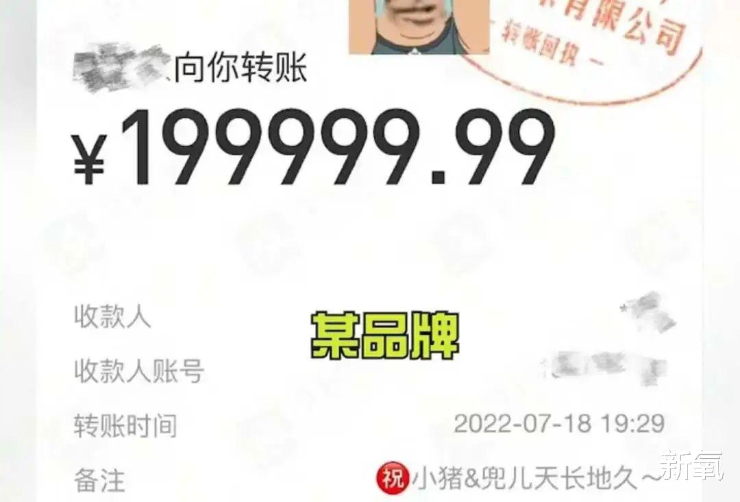 殷世航|小猪先生婚礼嘉宾阵容强大，夺笋网友：看你怎么一见钟情