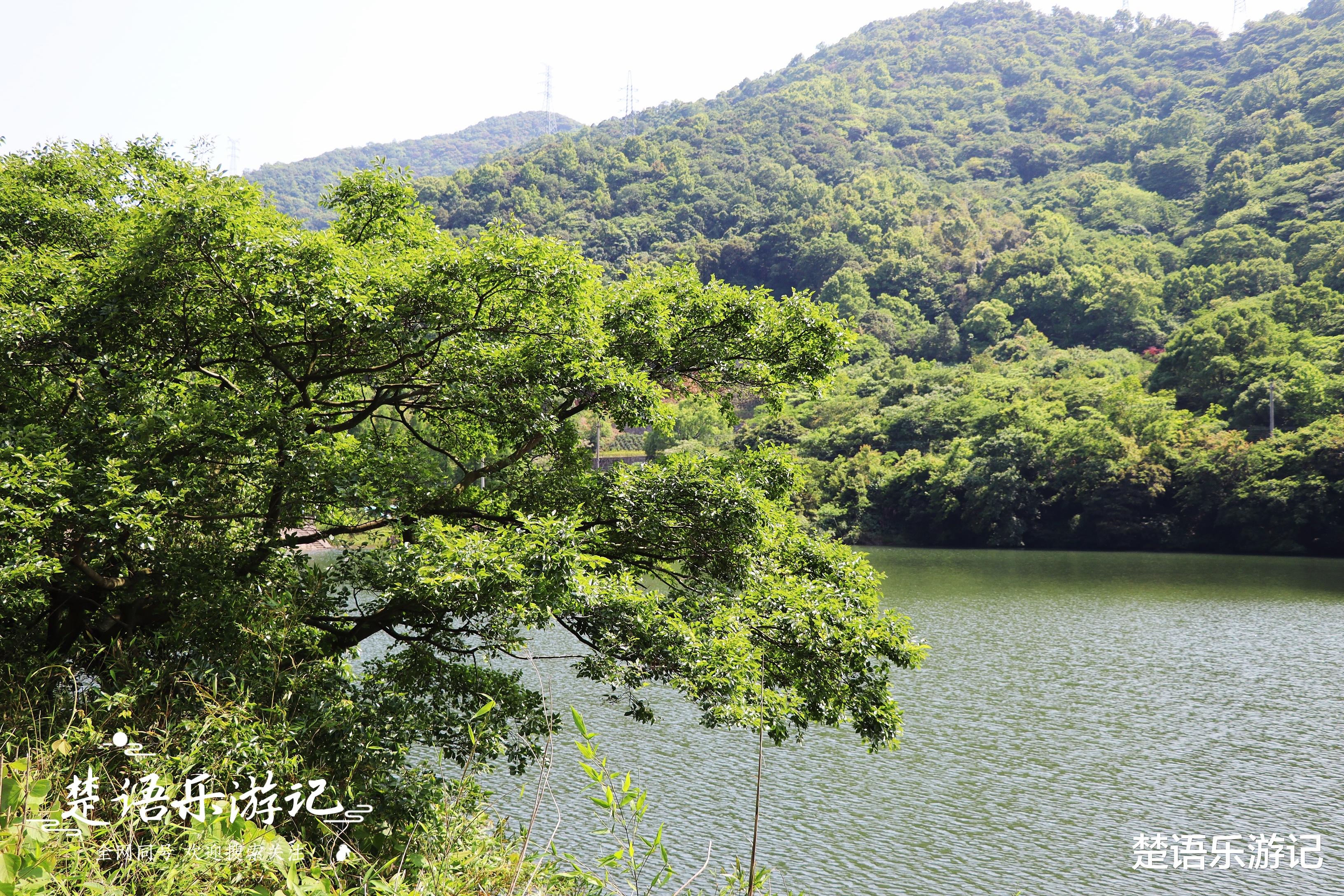 洛阳|山峰充满传奇，村内干净雅致，浙江宁波这个3A旅游乡村低调而美丽