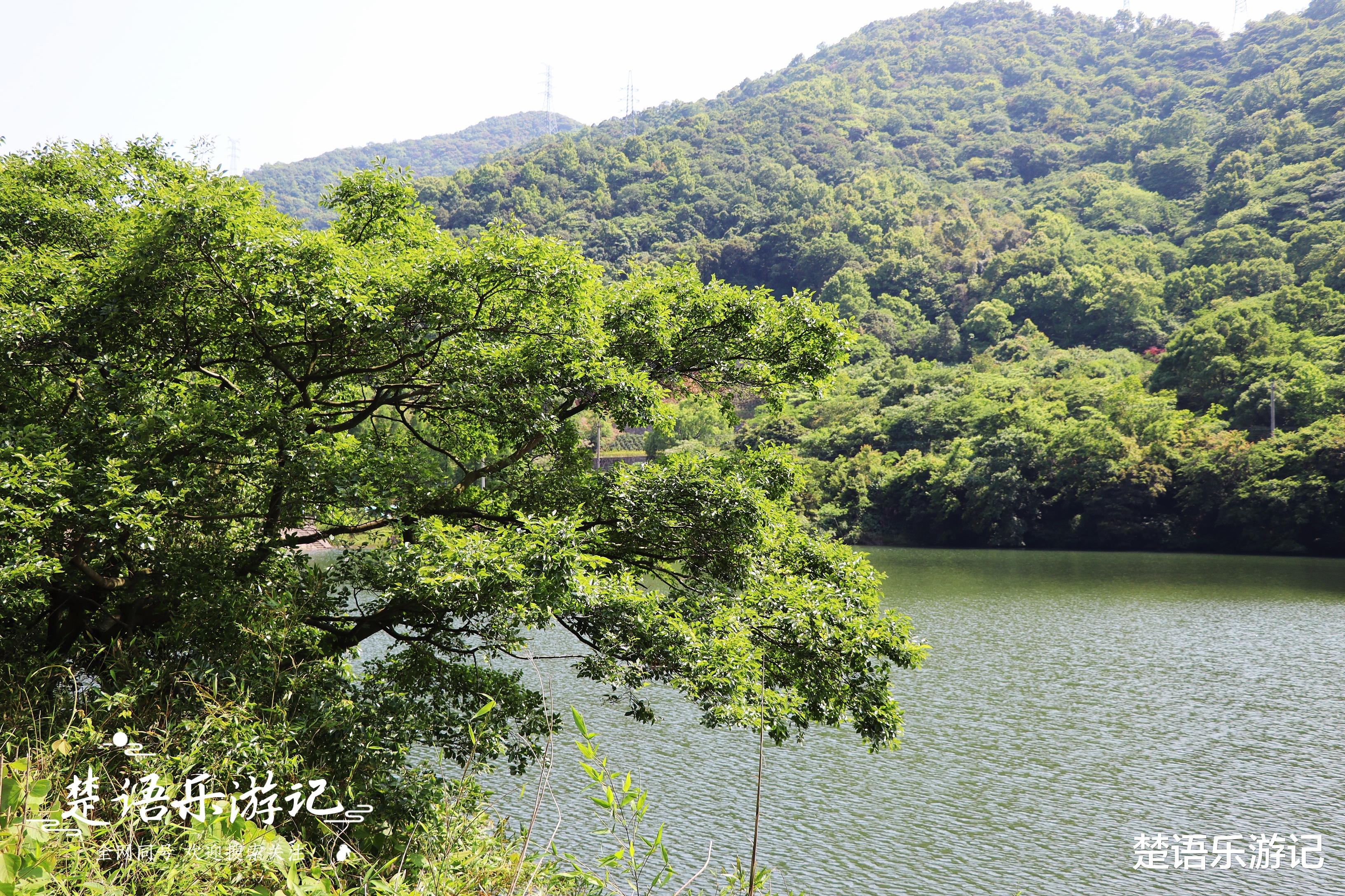 生态旅游|山峰充满传奇，村内干净雅致，浙江宁波这个3A旅游乡村低调而美丽