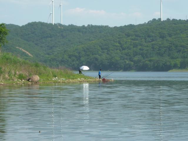 水库|东北地区的鱼儿都躲在哪里了？