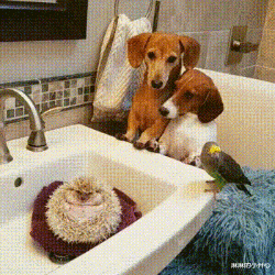 |“钓鱼钓出来个破石头，看起来很值钱”还是放回去心里踏实点