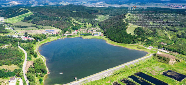 |城市画册｜这里是沈北·珍宝篇