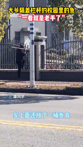 大爷|你大爷还是你大爷，长杆短线偷钓学校鱼塘里的鱼，这谁能管得了