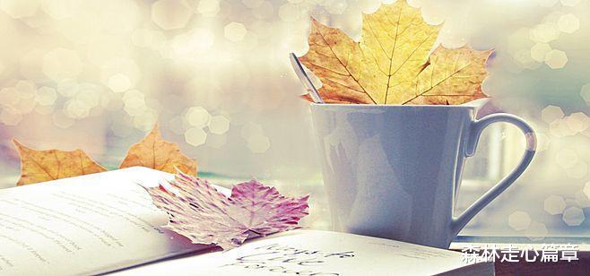 庄子|职场生存之道：龙蛇之变 木雁之间