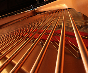 要不要了解一下钢琴走调的原因?