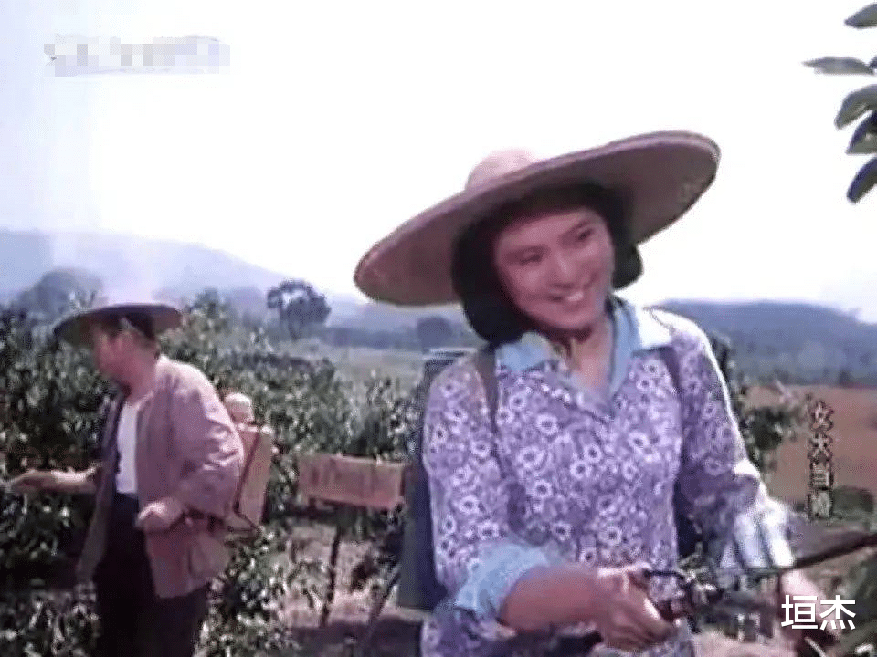 明星|现在“土肥圆”的女明星，年轻时有多漂亮你知道吗，岁月催人胖啊