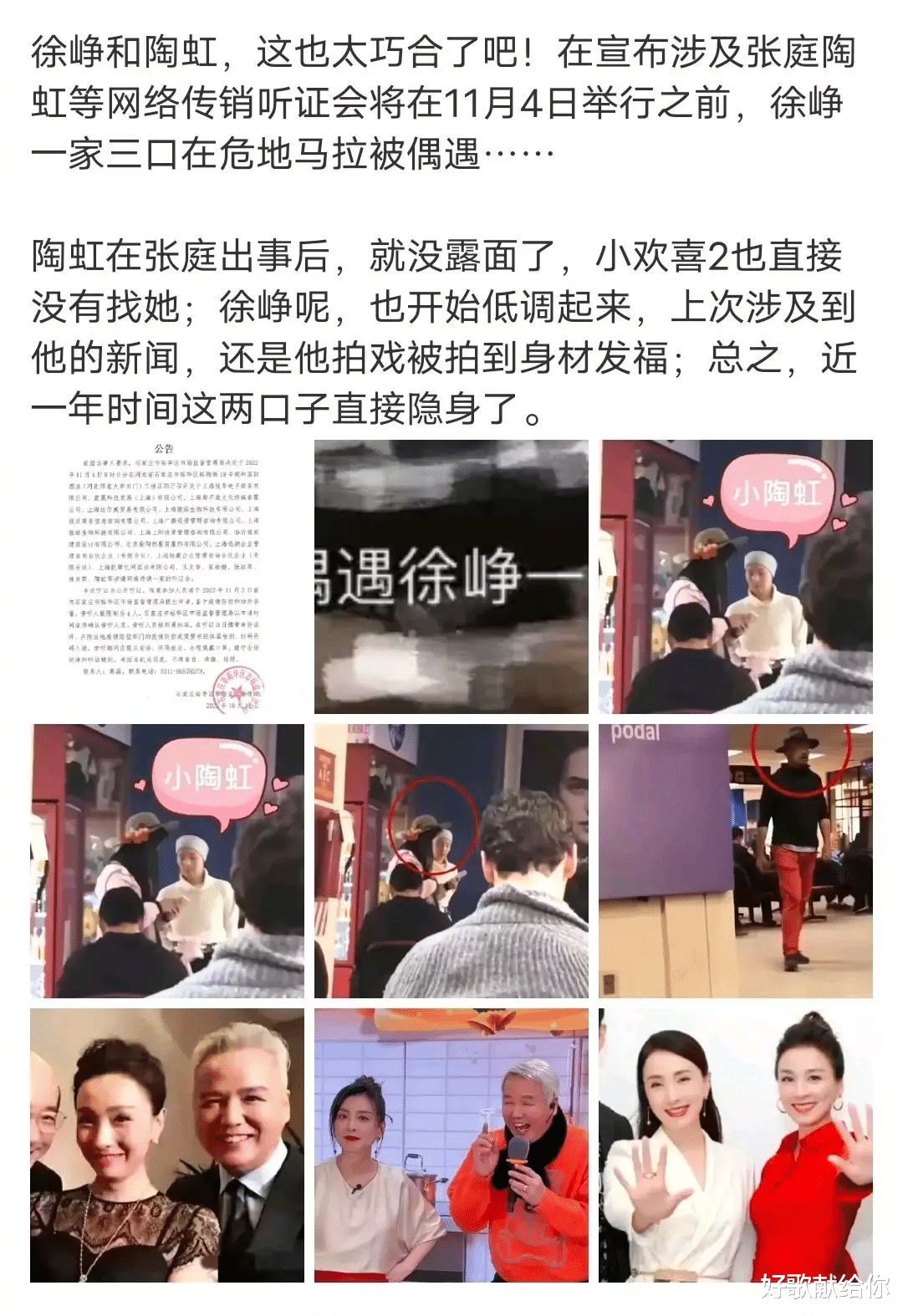 张庭|再见,张庭,再见,陶虹!明星赚“黑心钱”的日子,一去不复返了