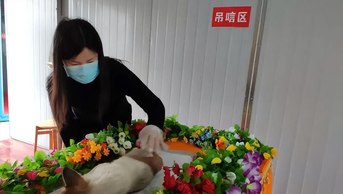 大学生|疫情之下00后尝试“新职业”,收入不比铁饭碗差,家长却不愿接受