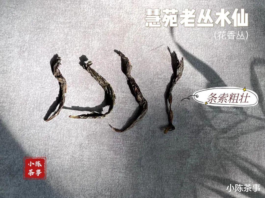 喝武夷岩茶时，为什么总有人爱喝“木本味”的尾水？是更好喝吗？