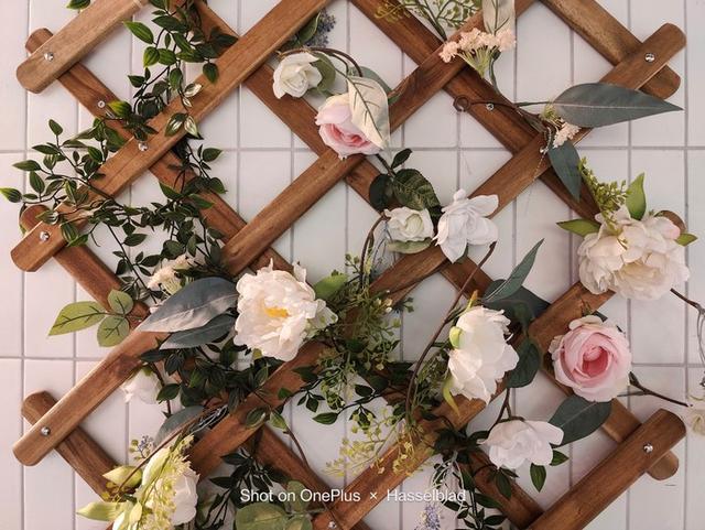 一加科技|一加 10 Pro影像评测：哈苏影像2.0 150°视角乐趣多