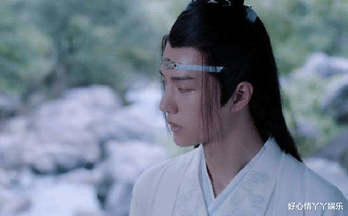 蓝忘机|陈情令：蓝湛是个合格的弟弟吗？为何连兄长蓝曦臣的名字都不知？