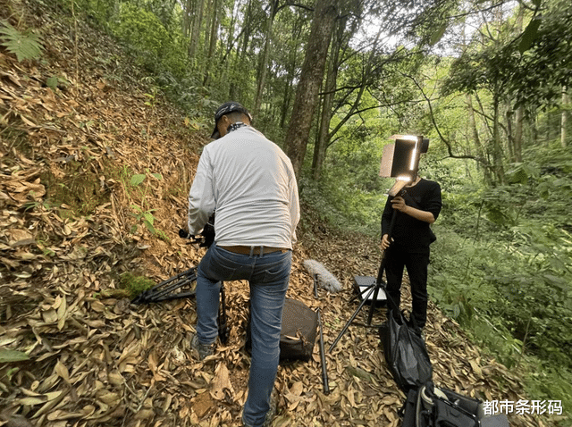 极度濒危！起源于1.4亿年前！它是植物界的“大熊猫”，你见过吗？