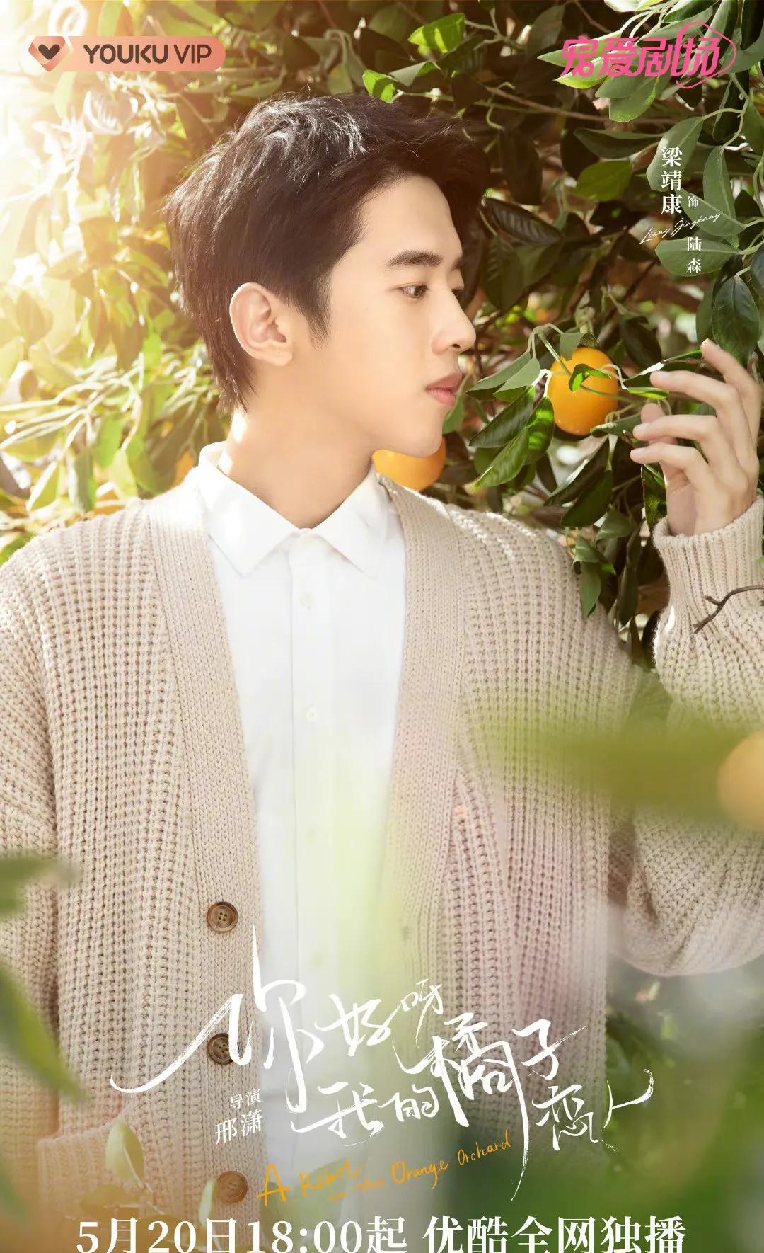 梁靖康|5.17-23播八剧谁会火：黄轩 杨超越 胡一天 秦岚 梁靖康 董思怡 虞书欣