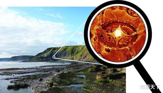 地球三次暖化都伴随着大量的“幽灵”微生物出现,科学家:这回它们又来了!