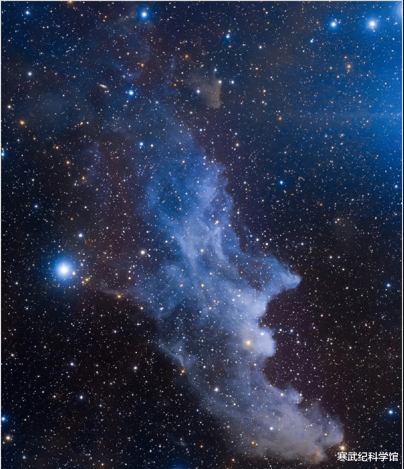 光子推进实现星际穿梭?水熊虫凭什么是首批星际航行的动物?