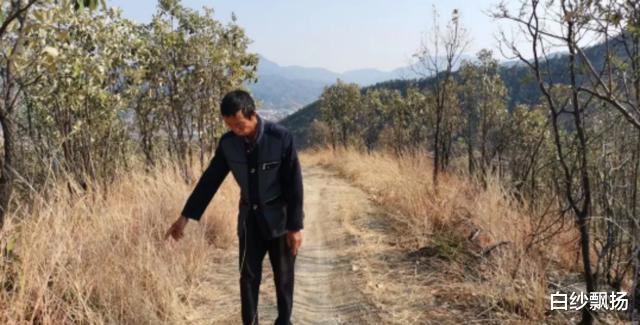 ?回顾老汉自费修山路被举报,罚款4万要求恢复,专家:不符合规定
