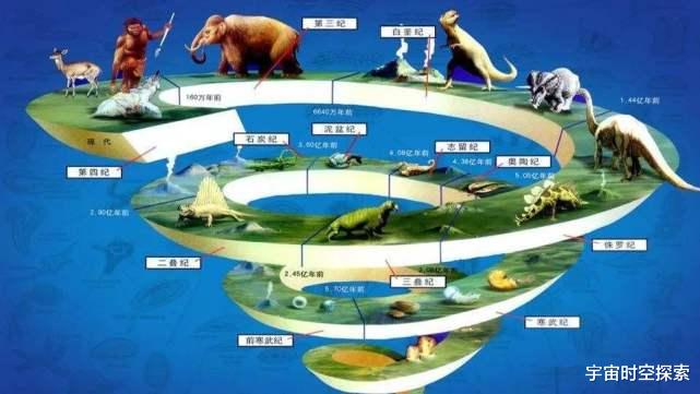 为什么生物进化的方式普遍是繁衍,而不是永生?