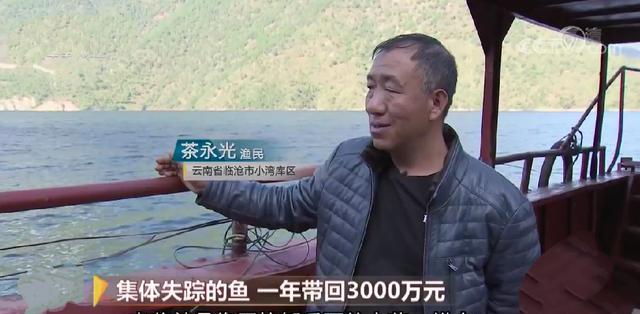 2008年,老板投放6000万尾鲢鳙,鱼群集体失踪,10年后年入3000万