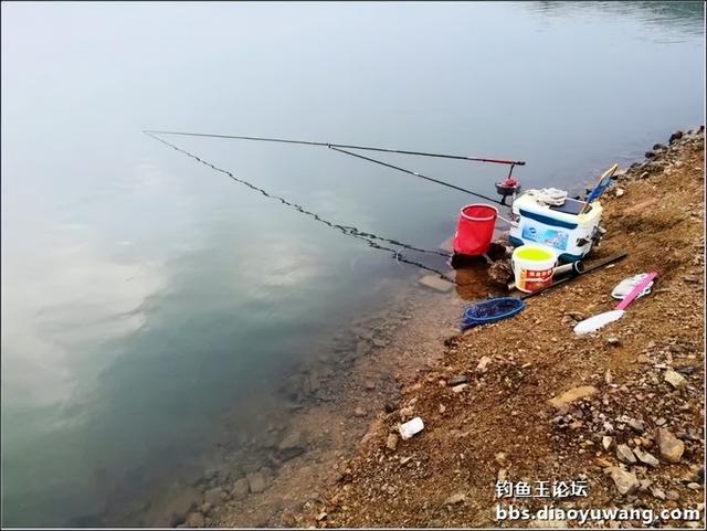 饵料|深水翘嘴最过瘾