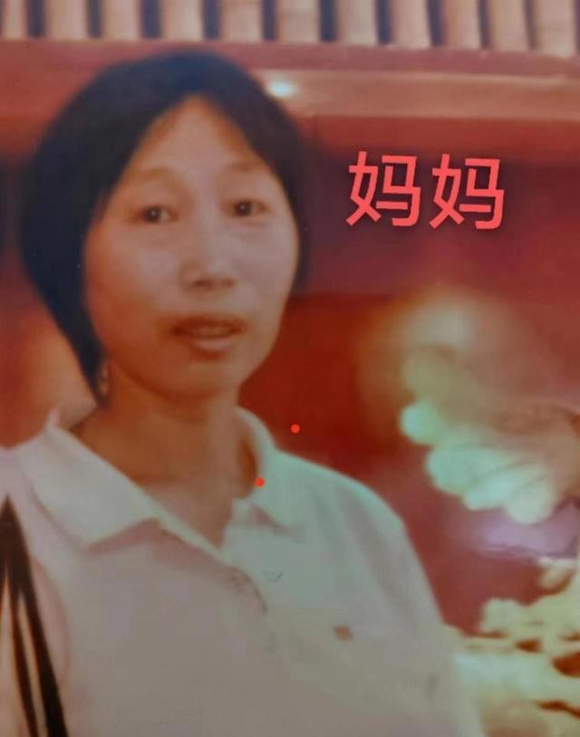 我儿子,3岁被爷爷带着在上海失踪,26年后房东说出真相,太无语