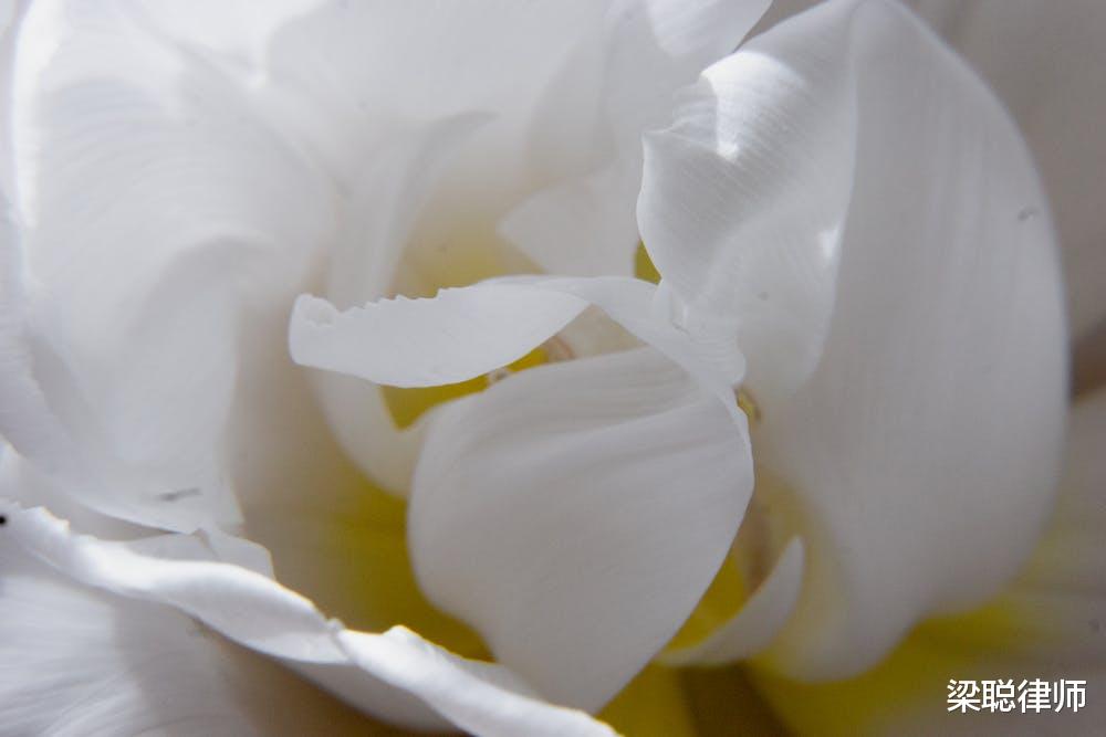 水果 妻子沉迷美容竟花光60万积蓄！丈夫起诉离婚并要求经济补偿！