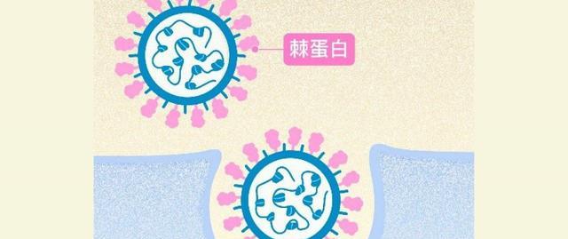病毒传播性变弱了吗?与“阳人”生活在一起,为何也有不感染的?