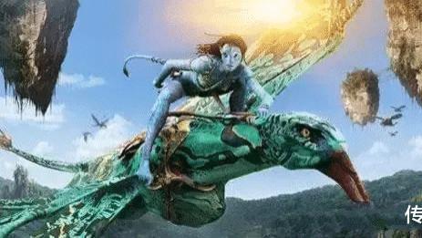 阿凡达2|《阿凡达2》基本无缘内地观众，你还会去影院吗？