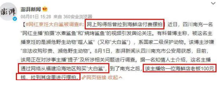 吃鲨鱼的网红,把自己作进去了!