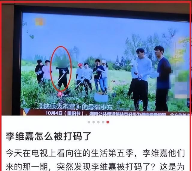 李维嘉|《向往5》重播，李维嘉被打码，《快本》停播后快乐家族境况各异