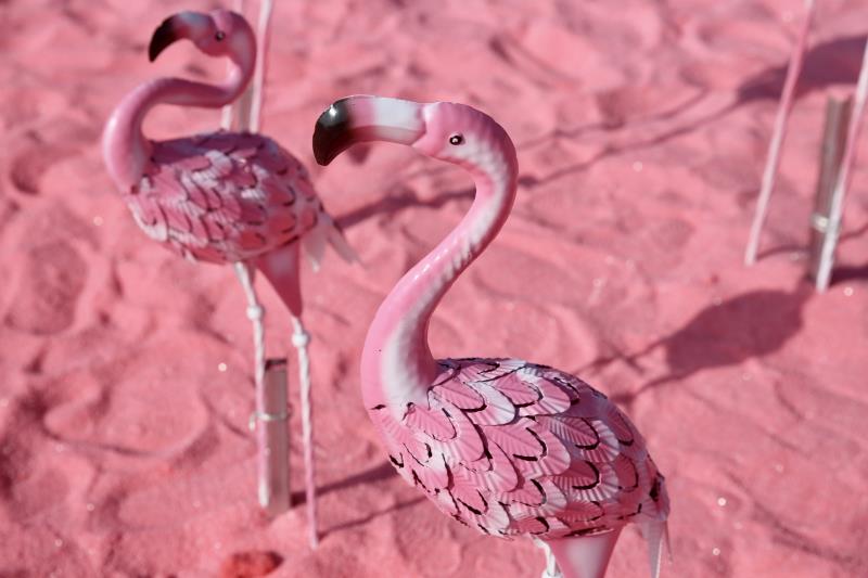 粉色|粉色沙滩惊艳亮相！云南这个地方等你来打卡！