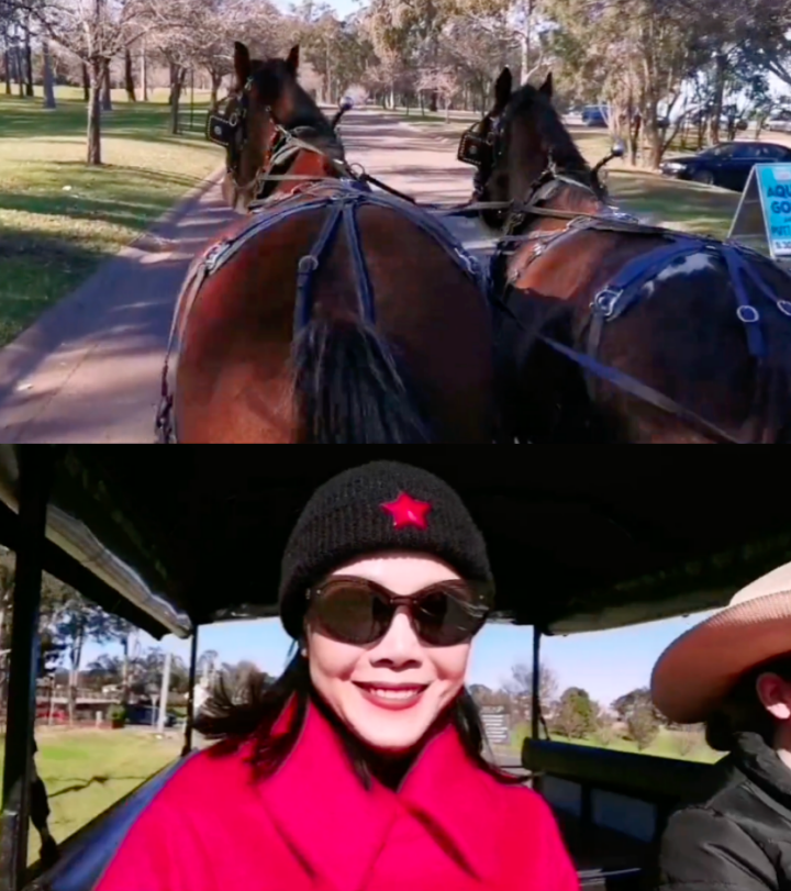 田震|田震分享国外豪华生活，手握大龙虾有半人高，妆容精致似贵妇