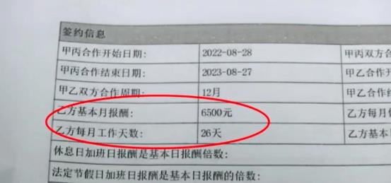 价值23万猫坠楼保姆被追责,雇主扣除工资及买菜钱