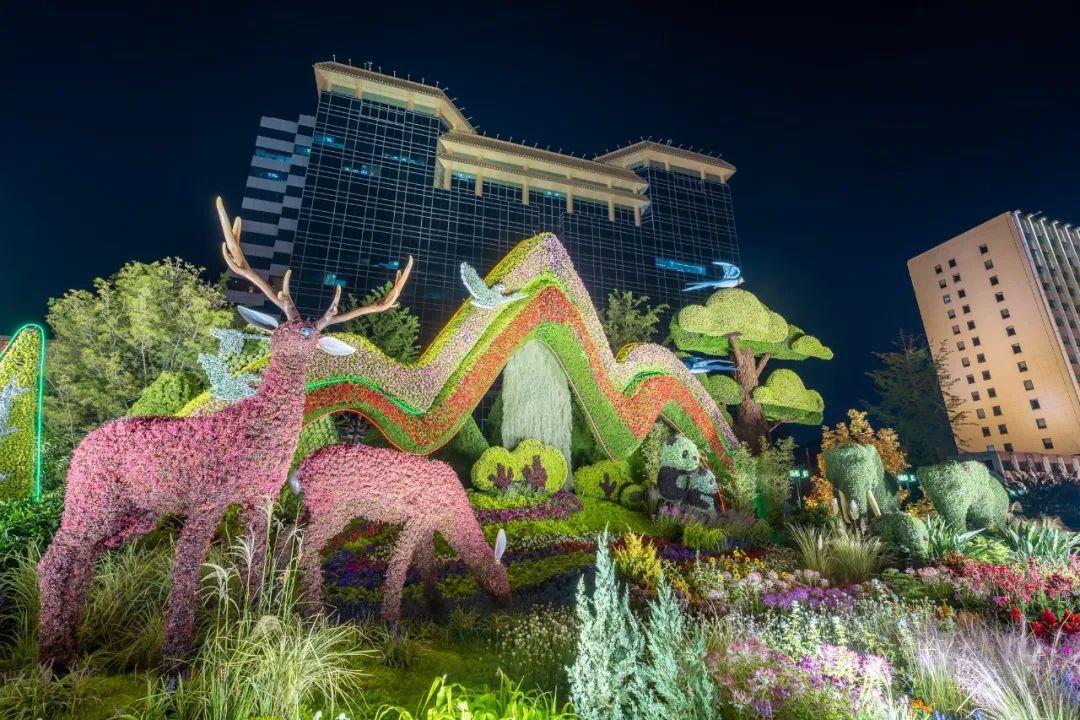 上海市|花了三个晚上，打卡长安街沿线14处立体花坛，夜景比白天更靓丽！
