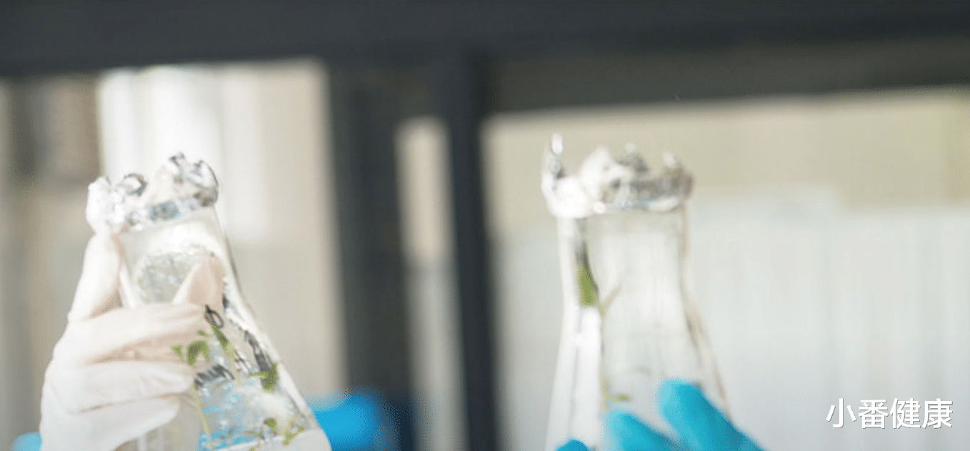 乙肝|乙肝在研新药IMC-I109V,1期极低剂量,伴随HBsAg下降及ALT升高