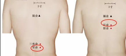 红薯|前额白发调脾胃，两鬓白发调肝胆，头顶白发调哪里？