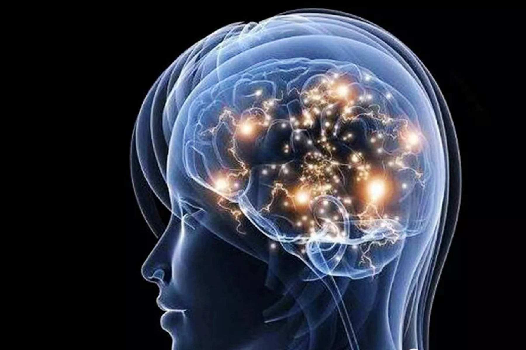 人是如何把思想转化成语言的?下面的理论刷新你的三观